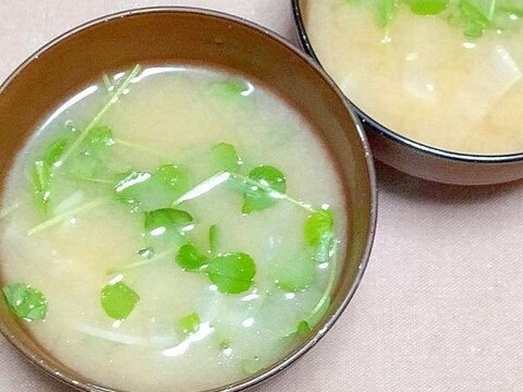 お椀にお湯を注ぐだけ♪簡単豆苗の味噌汁